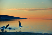Geographe Bay, Dunsborough, Western Australia