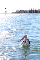 Mandurah, Western Australia