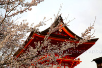 Kyoto, Japan